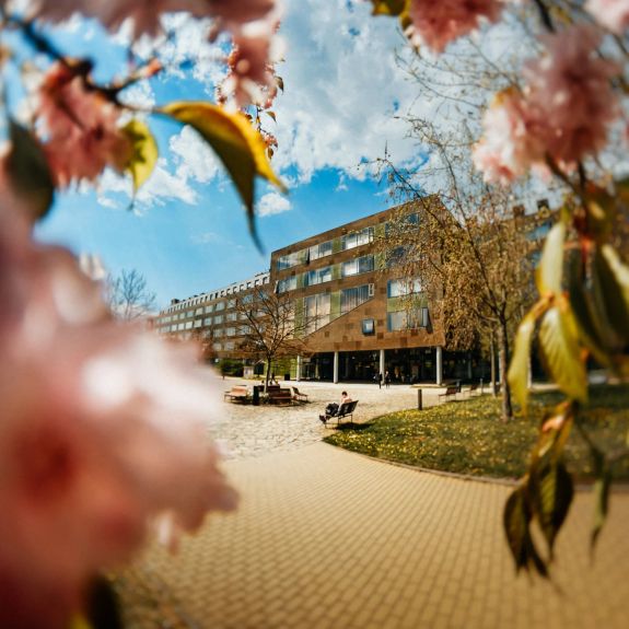 Duben je měsíc, kdy se příroda definitivně probouzí a rozkvétá. 🌸 To je zjevné i v našem univerzitním městě – a to z každé perspektivy. 🐸🐦 Věděli jste ale, že je tento měsíc zároveň měsícem občanské vědy?

Do výzkumu se může zapojit leckdo – a to mnoha různými způsoby. Několik vám nabízí i vědci z našich fakult. Ten nejbližší z nich už o nadcházejícím víkendu 24.–27. 4. Vydejte se s mobilem do ulic a pomozte zmapovat aktuální vývoj fauny a flory na území Olomouce. Koukněte na link v biu a zjistěte jak. ☝️

#univerzitnimesto